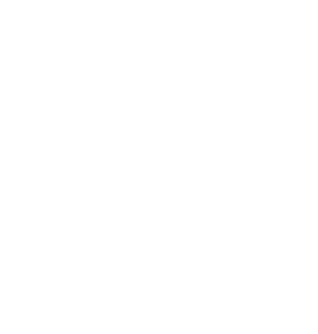 Salah logo